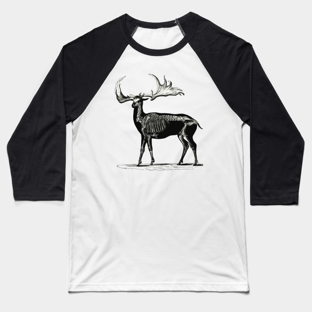 Deer Skeleton Illustration Baseball T-Shirt by ArtisticFloetry